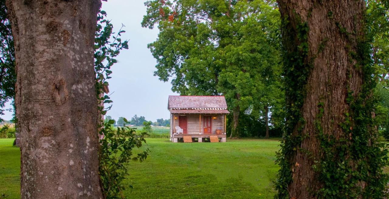 그린빌 Belmont Plantation, Est 1857 B&B 외부 사진